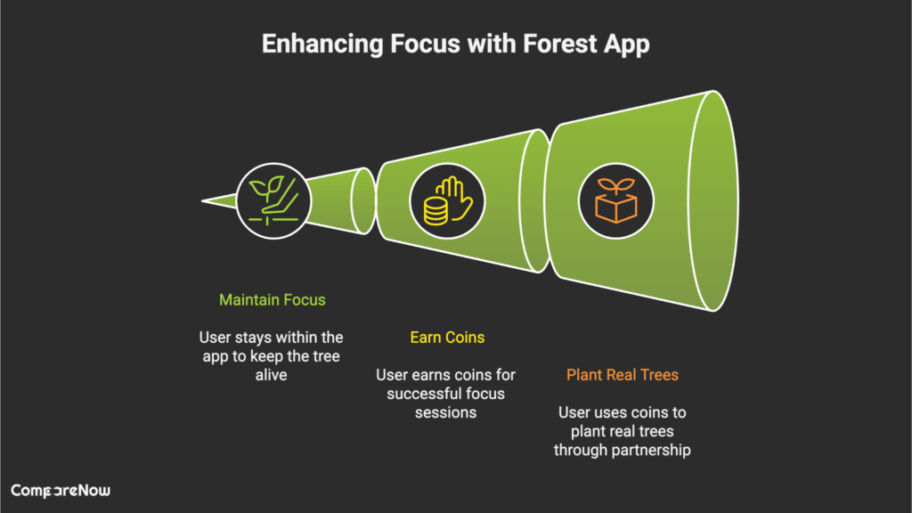 Time Management and Focus Enhancers - Comparenow